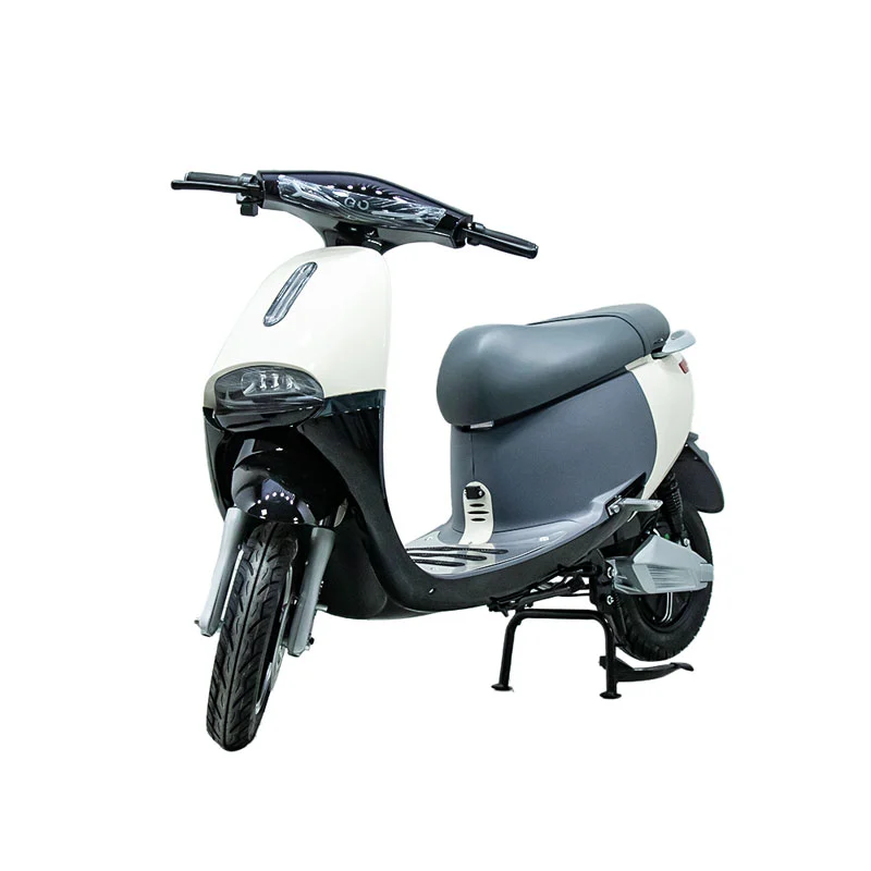 Elektromos motorkerékpár 10 hüvelykes 1000 W motorkerékpárral
